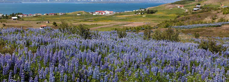 ISLANDE | Reykjavik - Autotour boucle islandaise 3* dès 2029 € / personne