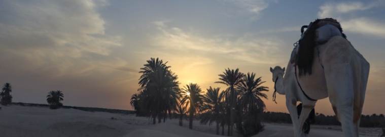 TUNISIE | Djerba - Réveillon magique dans le désert tunisien 4* dès 939 € / personne