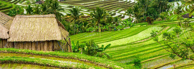 BALI | Ubud & Nusa Dua - Escapade Romantique à Bali 5* dès 1939 € / personne