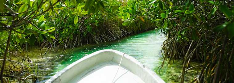 MEXIQUE | Yucatan - Le Yucatan en Haciendas 4* dès 2659 € / personne