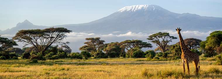 TANZANIE | Du Kilimanjaro à Nairobi - Des hauteurs du Kilimandjaro aux plages de Diani de la Tanzanie au Kenya 3* dès 3979 € / personne
