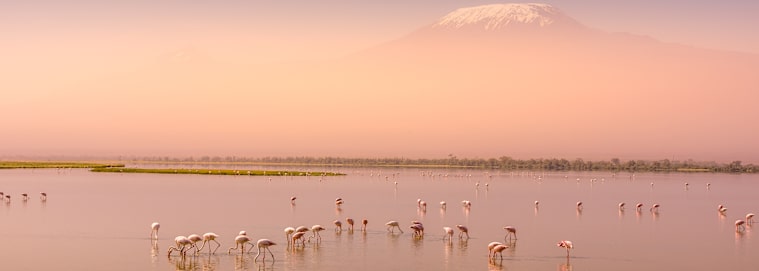 TANZANIE | Du Kilimanjaro à Nairobi - Des hauteurs du Kilimandjaro aux plages de Diani de la Tanzanie au Kenya 3* dès 3979 € / personne