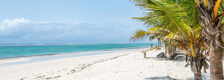 TANZANIE | Du Kilimanjaro à Nairobi - Des hauteurs du Kilimandjaro aux plages de Diani de la Tanzanie au Kenya 3* dès 3979 € / personne