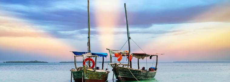 TANZANIE | Du Kilimanjaro à Nairobi - Des hauteurs du Kilimandjaro aux plages de Diani de la Tanzanie au Kenya 3* dès 3979 € / personne