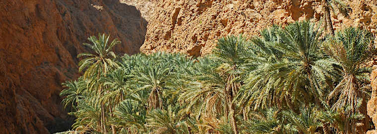 OMAN | Mascate - Les essentiels d'Oman 4* dès 1579 € / personne