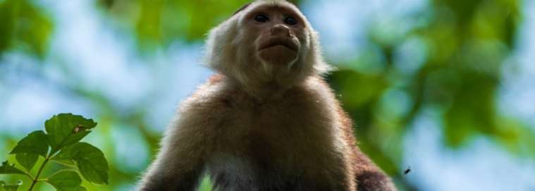 PANAMA | De Panama City à Carthagène - Une Aventure centraméricaine : Entre Panama City et Carthagène dès 4838 € / chambre