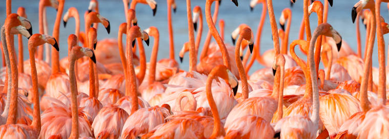 MEXIQUE | Cancun - Âme du Yucatan dès 1769 € / personne