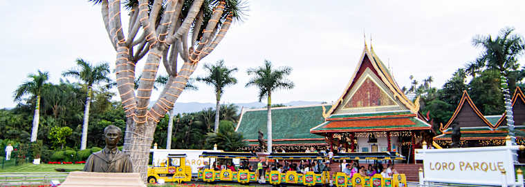 CANARIES | De Tenerife à Gran Canaria - Combiné Tenerife et Gran Canaria 4* dès 959 € / personne