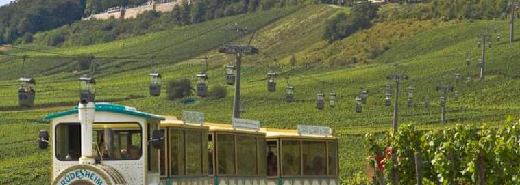 ALSACE | Strasbourg - Croisière Famille - La majestueuse vallée du Rhin romantique 5* dès 1049 € / personne