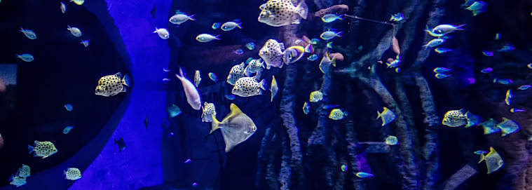 ANDALOUSIE | Séville - Croisière Famille - Les splendeurs de l'Andalousie au fil du Guadalquivir 5* dès 1639 € / personne