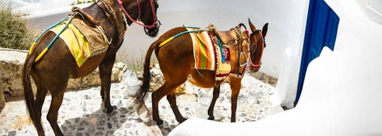 CRÈTE | Héraklion - Découverte de la Crète & Santorin en 4* dès 939 € / personne