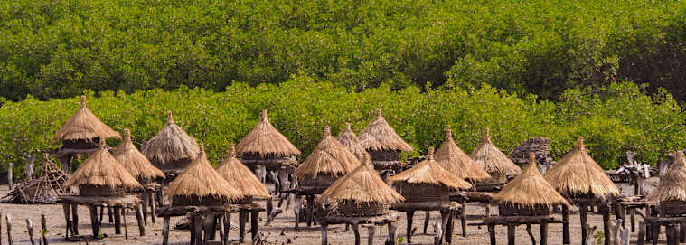 SÉNÉGAL | Dakar - Escapade Nature au Sénégal 2* dès 1839 € / personne