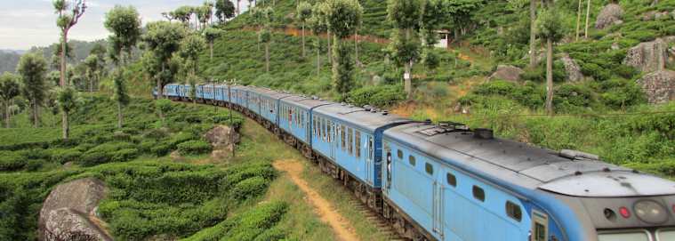 SRI LANKA | Colombo - Immersion authentique à Ceylan dès 2029 € / personne