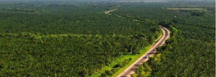 RÉPUBLIQUE DOMINICAINE | Punta Cana - Les trésors de l'Est de la République Dominicaine 3* dès 1919 € / personne
