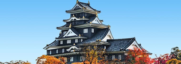 JAPON | De Tokyo à Osaka - Japon aux 1001 contrastes 3* dès 3238 € / chambre