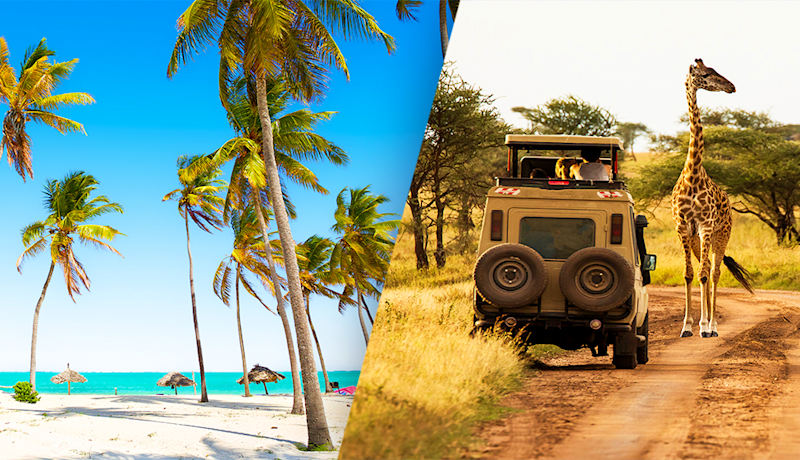The essentials of Tanzania on safari & beach extension in Zanzibar 5* |  Turkish Airlines Holidays