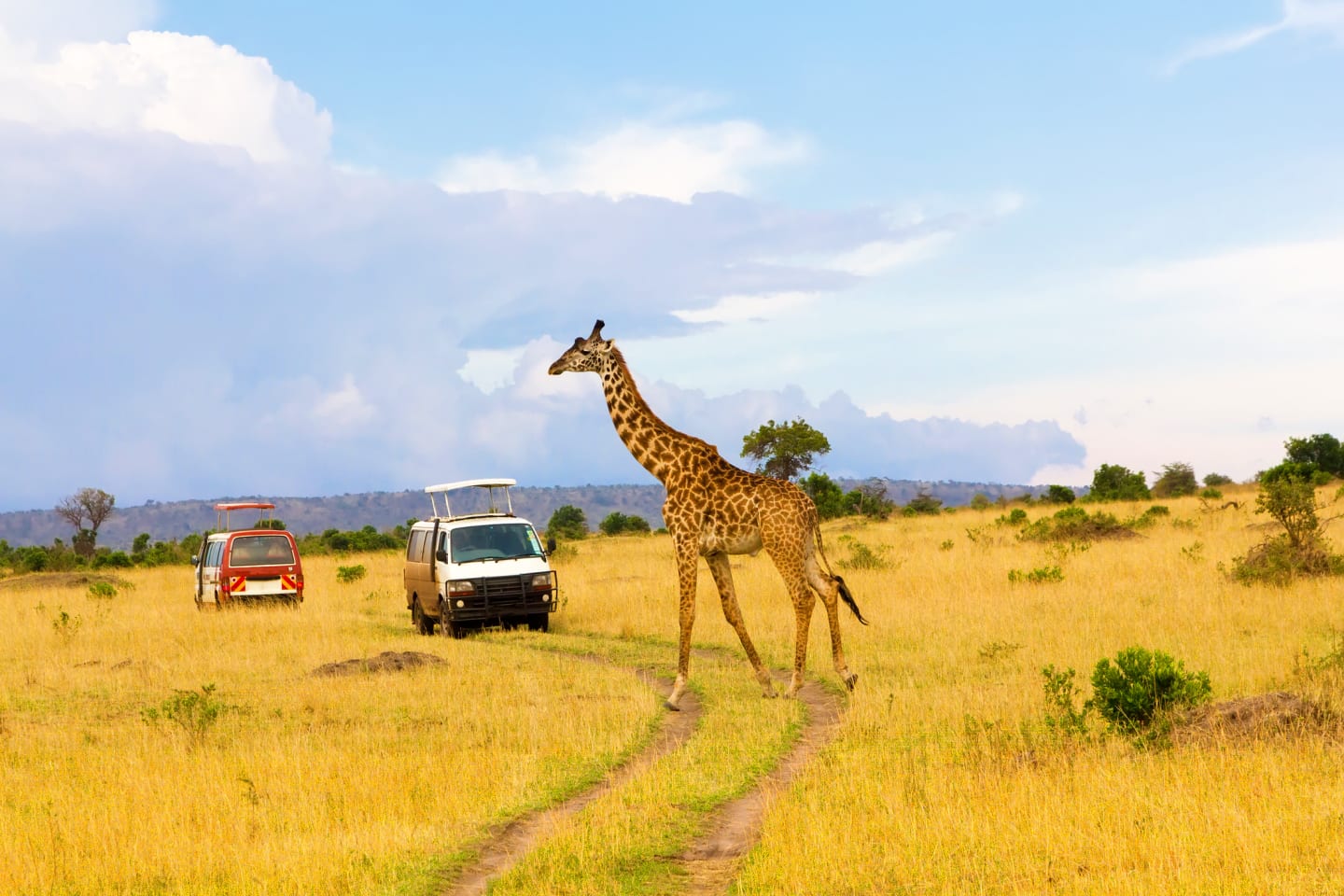 Combiné Leopard Beach Resort & Safari Eléphants Rouges 4*