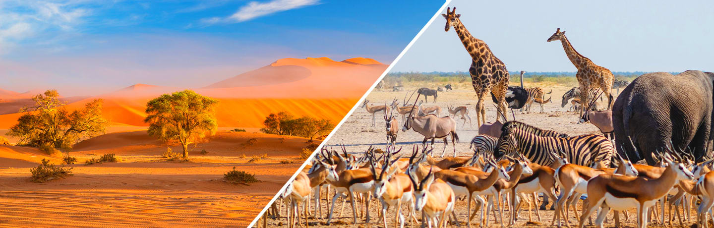 Parcours Namibien 3*