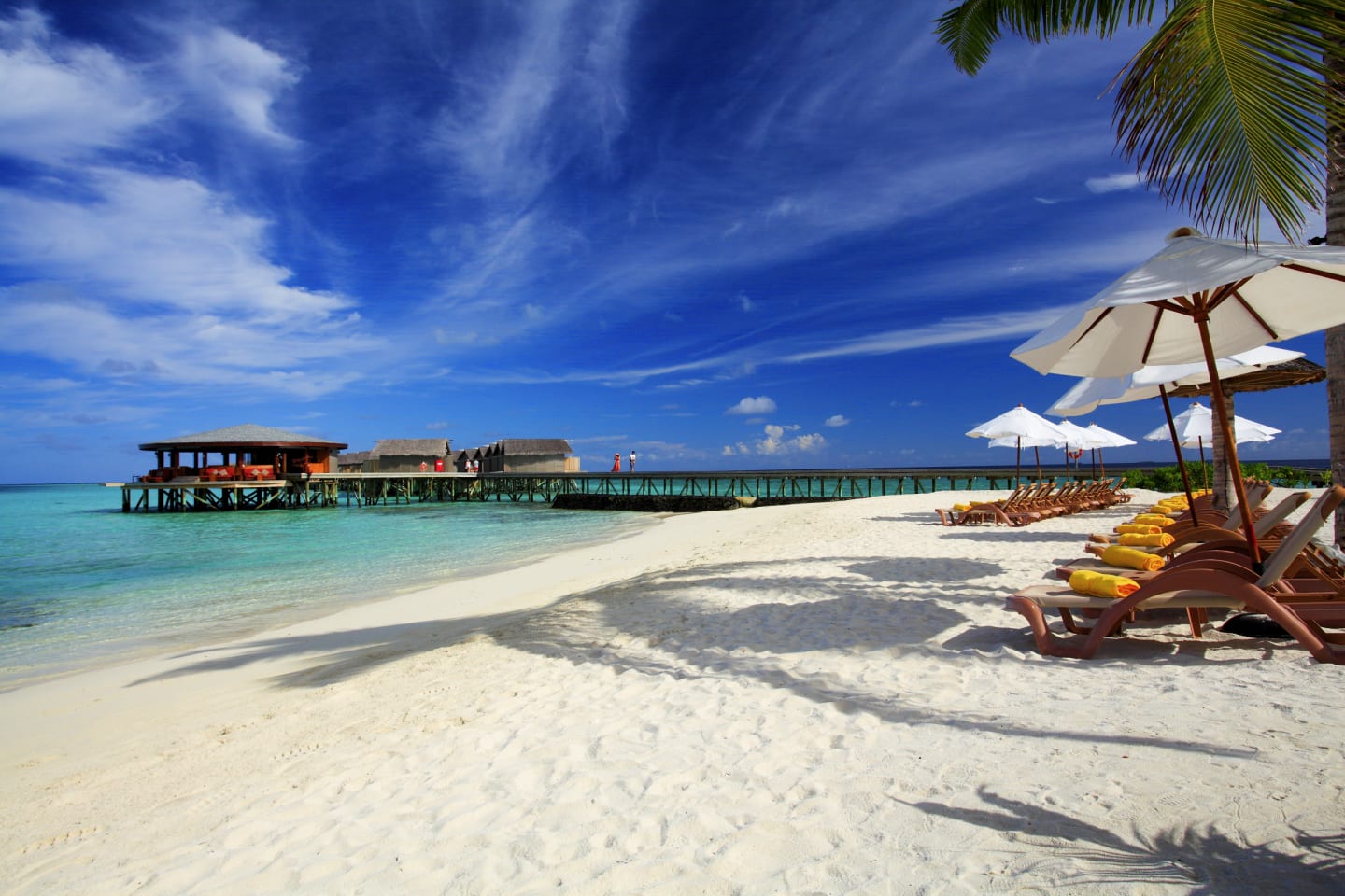 Centara Ras Fushi - Pieds Dans Le Sable 4*