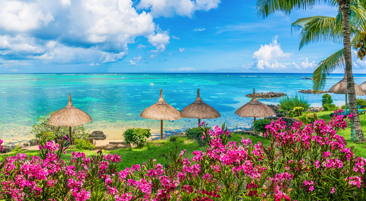 Sous Le Badamier - Adults Only 3*