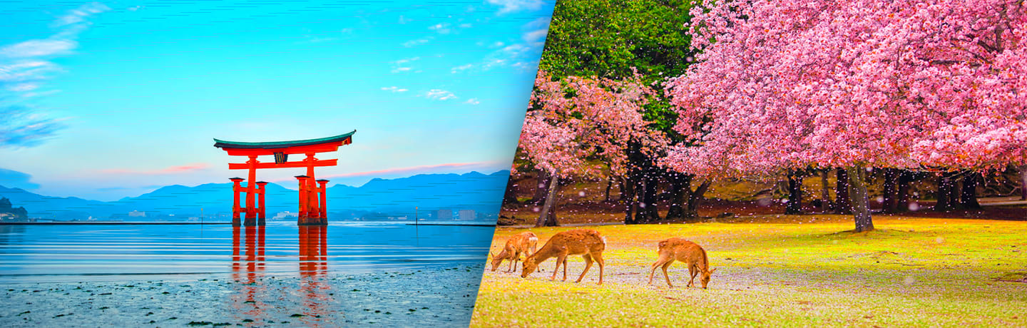 Les Incontournables Du Japon Et Auberge Traditionnelle 3*