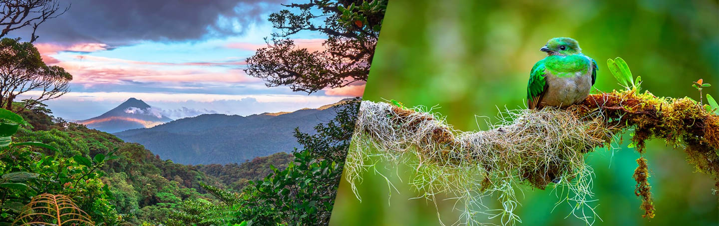 L'essentiel Du Costa Rica Avec Extension Balnéaire À Punta Leona