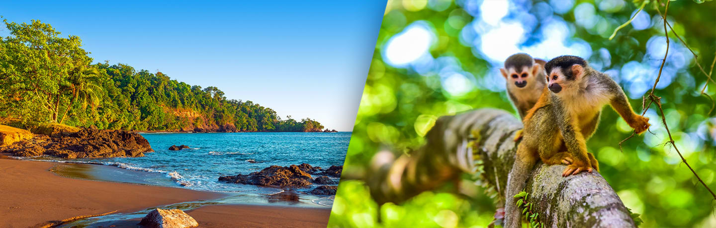 L'essentiel Du Costa Rica Avec Extension Balnéaire À Tamarindo