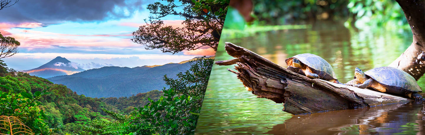 Les Merveilles Du Costa Rica Avec Extension À Manuel Antonio 3*