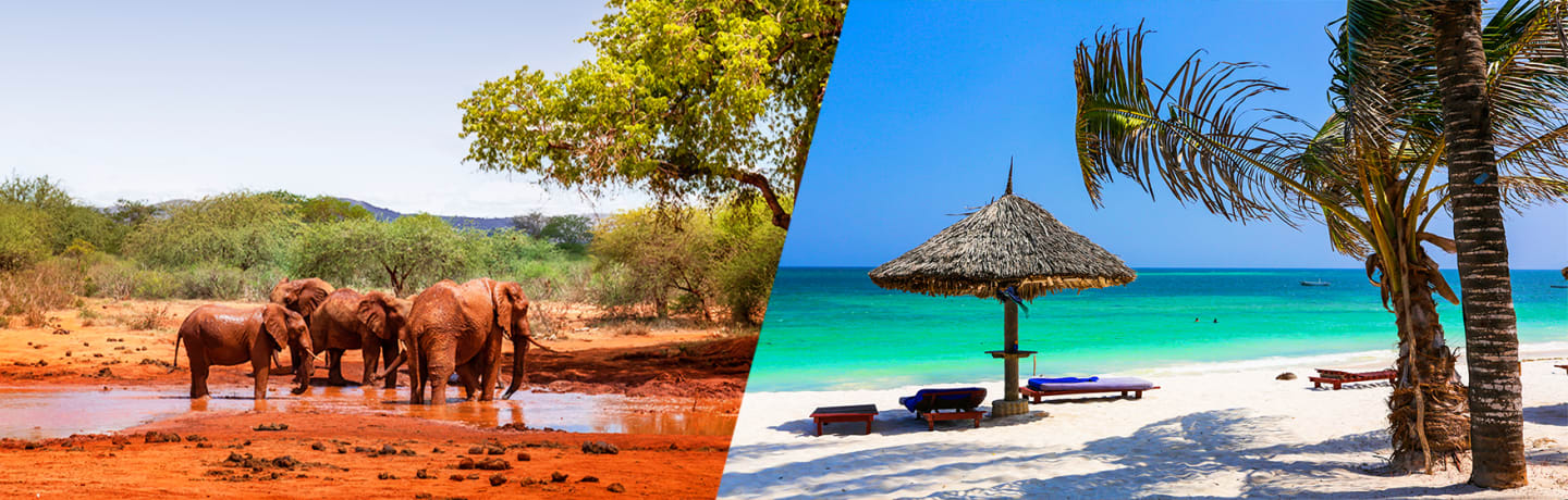 Escapade Au Kenya En Safari & Extension À Watamu Beach 3*