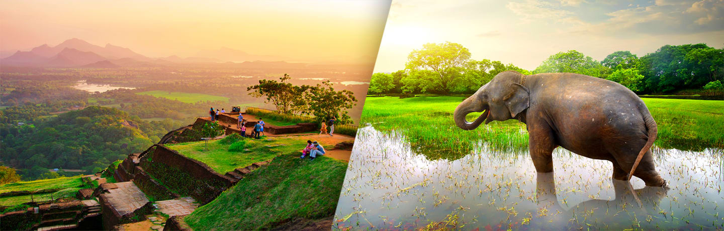 Le Meilleur Du Sri Lanka Avec Extension Balnéaire 3*