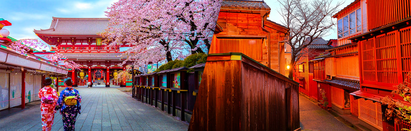 Japon: Des Mégalopoles Aux Montagnes Sacrées 3*