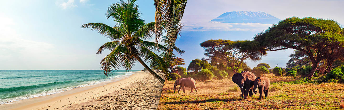 Combiné Diani Sea Resort 4* & Safari