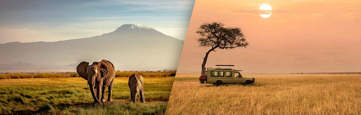 Le Meilleur Du Kenya En Safari 3*