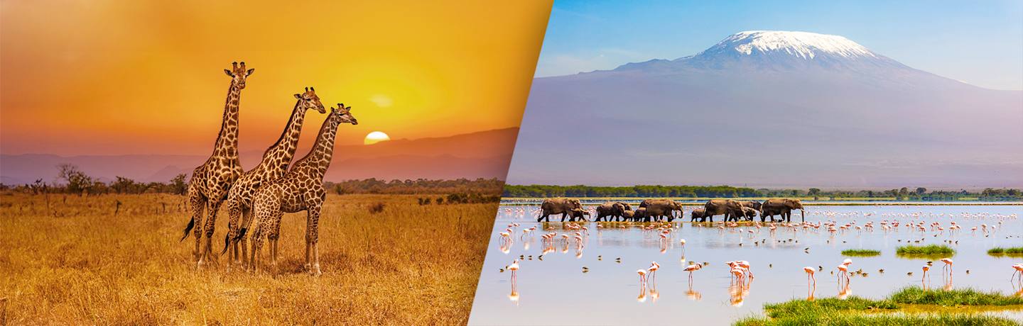 Circuit Privatif : Safari Authentique Au Kenya 3*