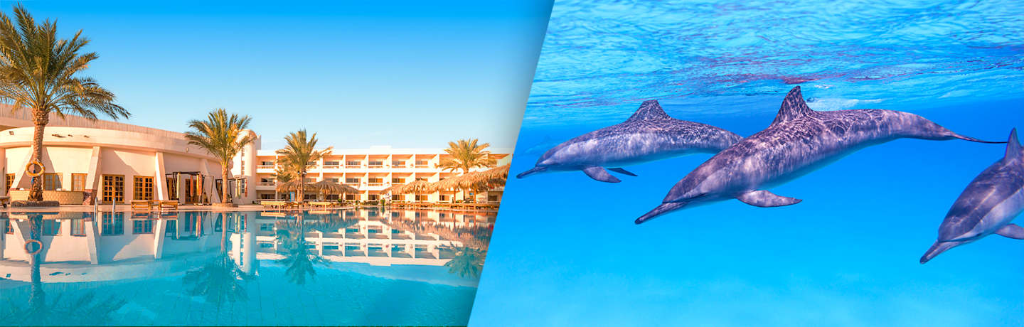 Long Beach Resort & Croisière Observation Des Dauphins Et Snorkeling 4*