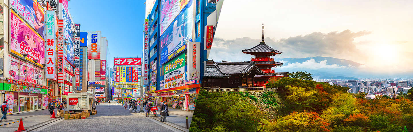 Découverte Des Joyaux Du Japon 3*