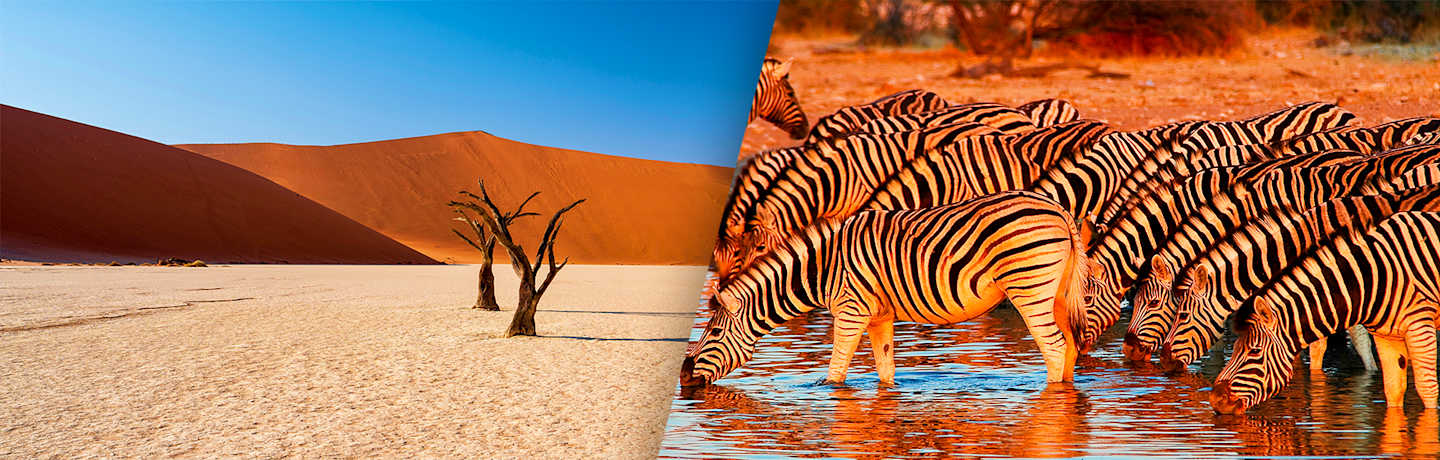 La Namibie Sous Toutes Ses Facettes 3*