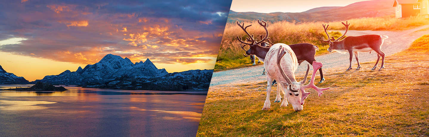 Au Coeur Des Trois Laponies - Tromsø / Tromsø 3*