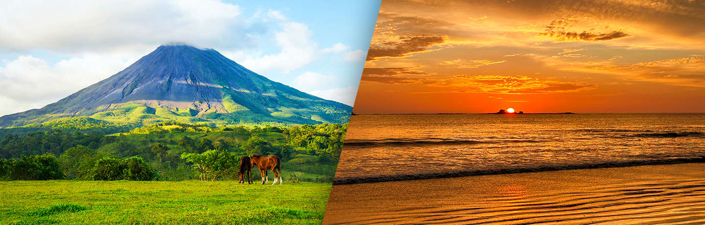 De La Jungle Aux Côtes Du Pacifique