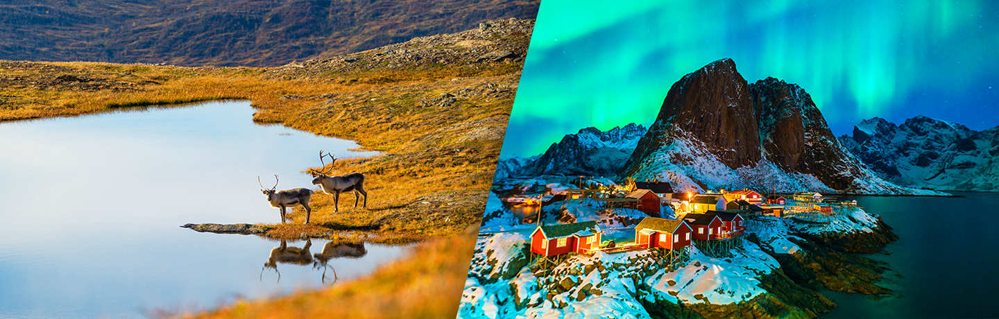 Expérience Arctique 2026 3*