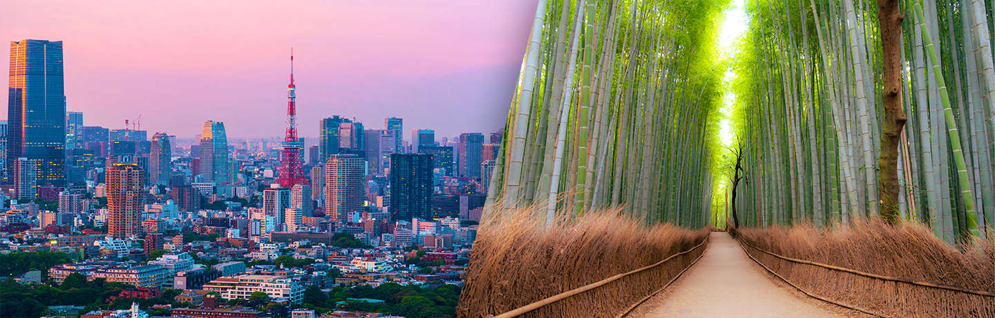 Trésors Du Japon 3*