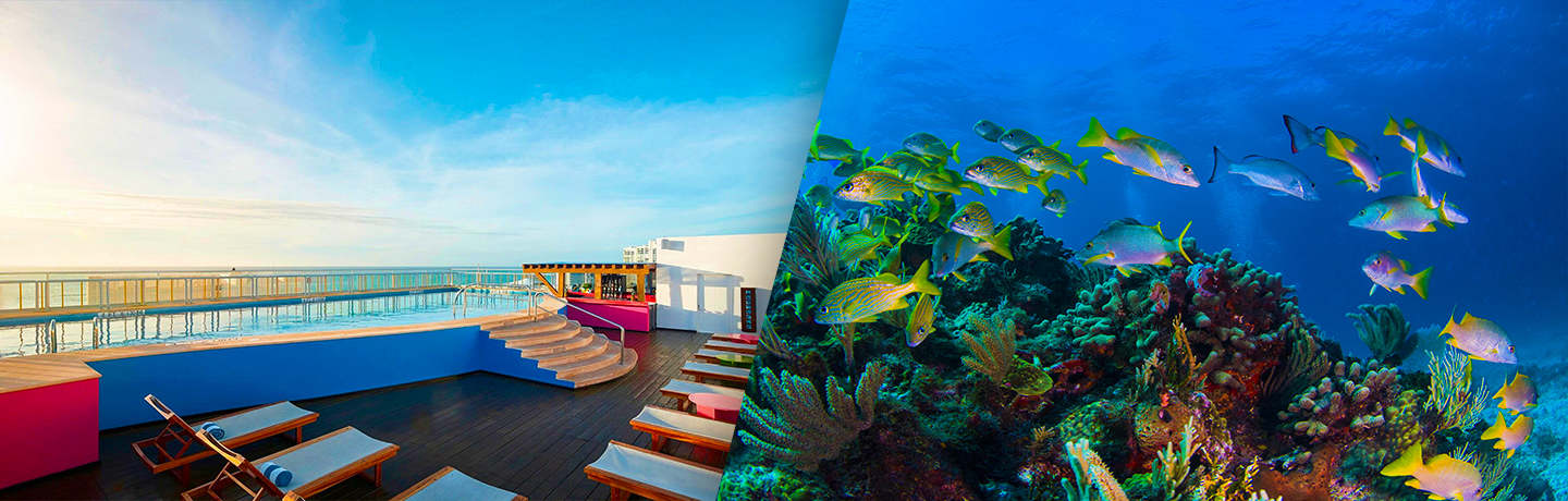 Aloft Cancun Avec Cocobongo & Isla Mujeres Inclus 4*