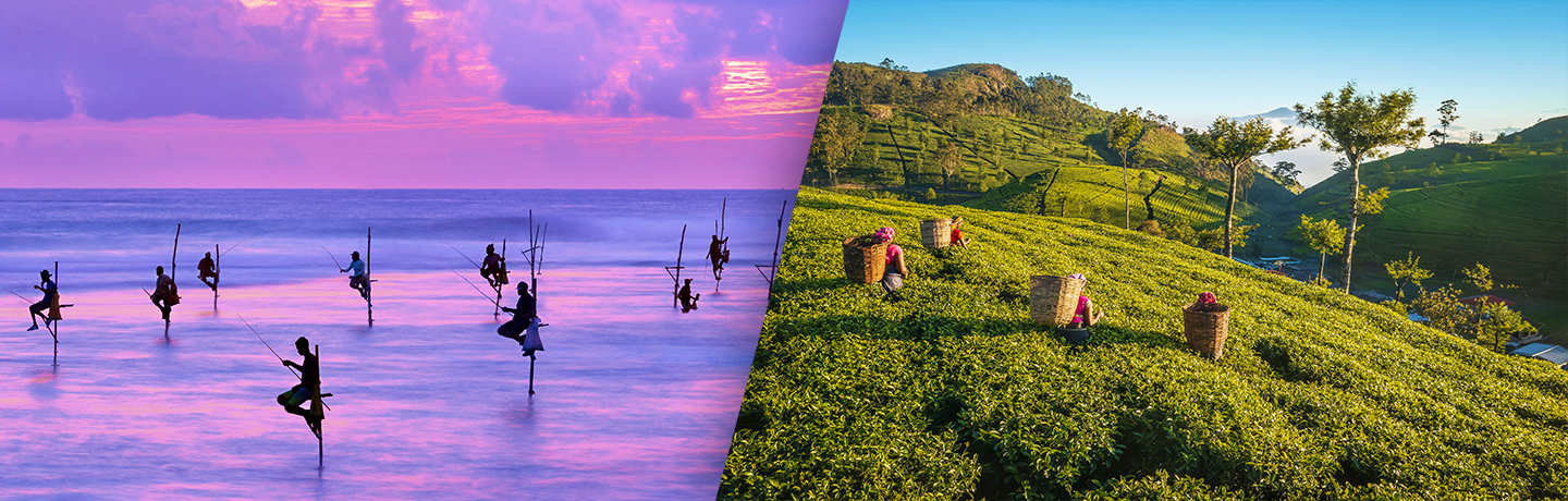 Découverte Des 5 Sens Au Sri Lanka 4*