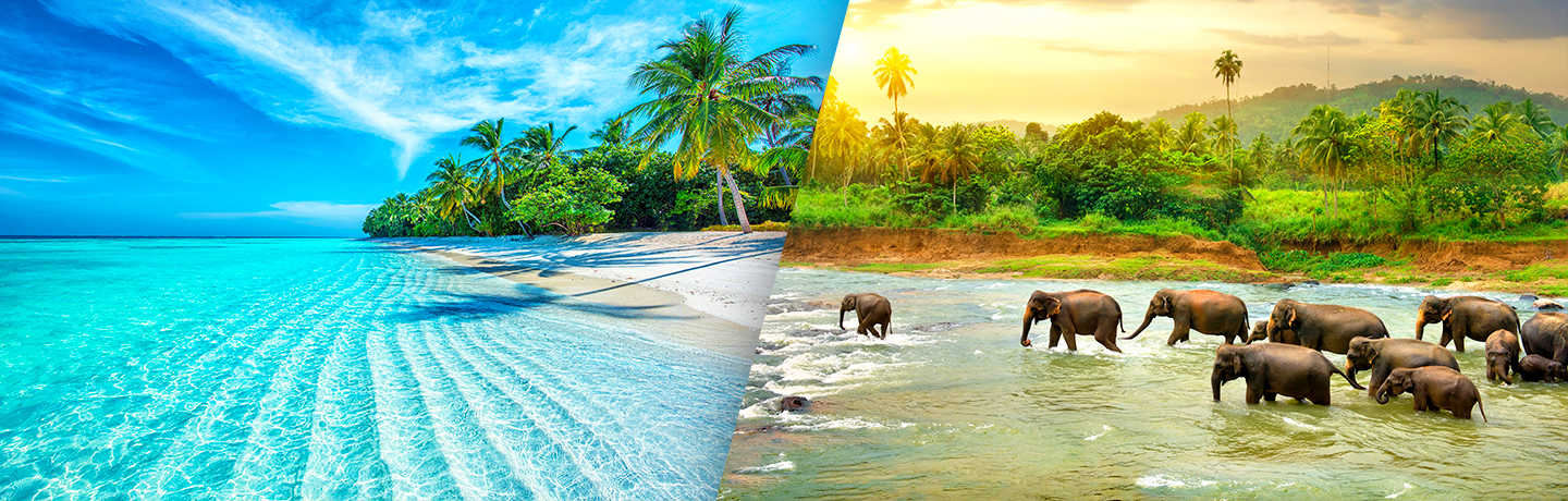 Découverte Du Sri Lanka Avec Extension Aux Maldives 4*