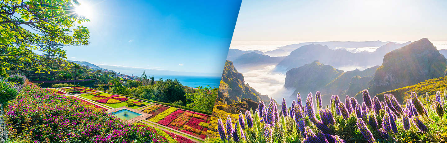 Images De Madère 3*