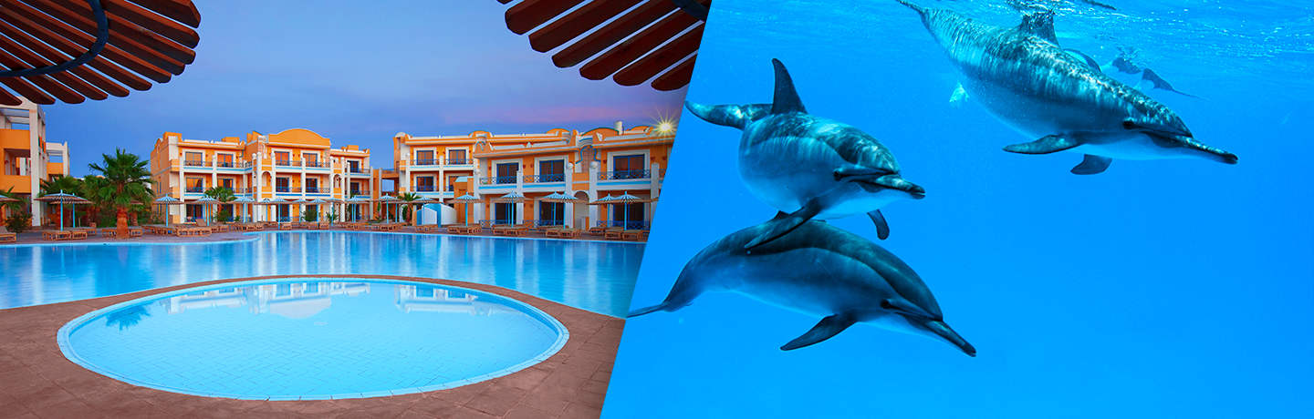 Mirage Bay Resort & Aqua Park & Croisière Observation Des Dauphins Et Snorkeling 4*