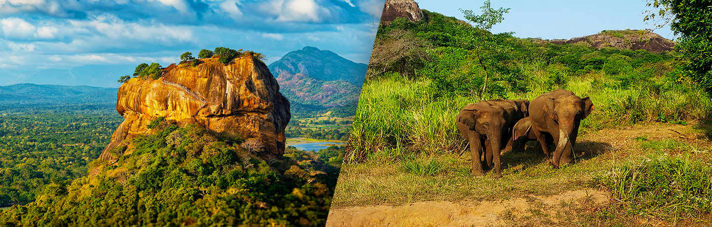 Entre Culture Et Détente Au Sri Lanka 4*