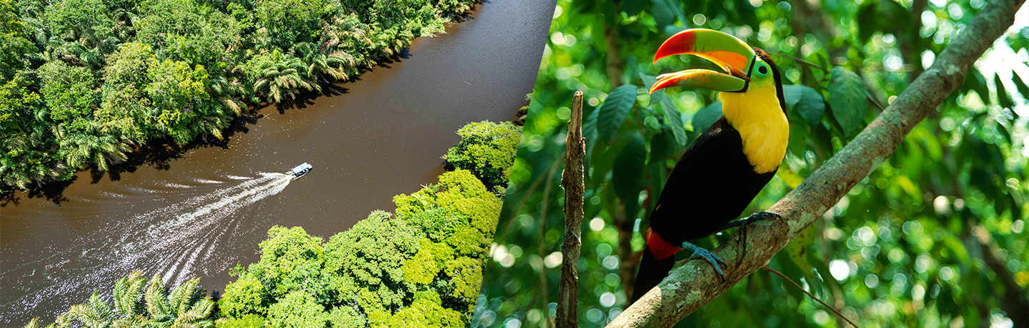 Explorer Le Costa Rica 4*