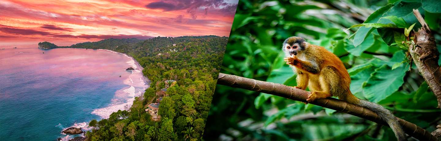 L¿essence Du Costa Rica 4*