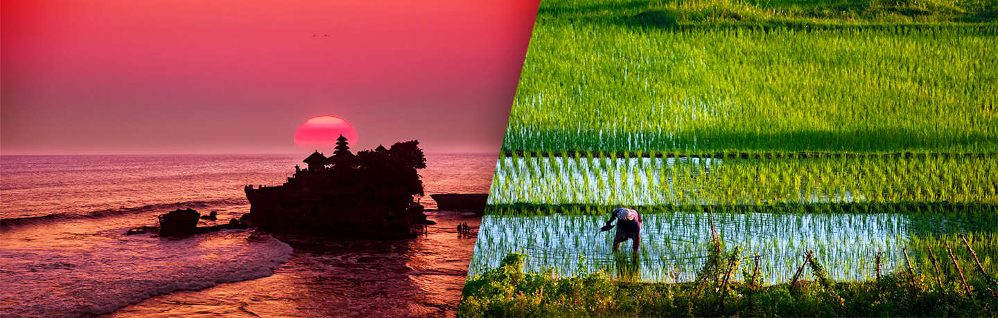 A La Découverte De Bali En Famille 3*